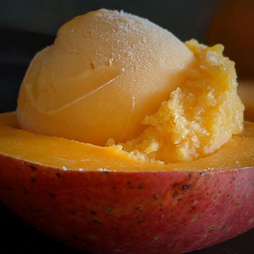 Mango Sorbet (500 ml) Ice Cream tigoni 